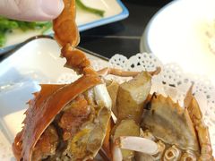 -鑫悦楼煎蟹·16年海鲜大排档