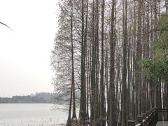 -东湖落雁景区