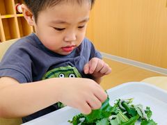 -金点蒙氏国际教育(悠然校区)