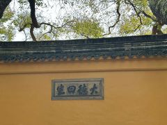 -西园寺素食(西园弄戒幢律寺店)