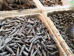 -众彩物流水产市场