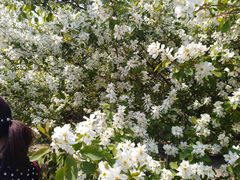 -长春公园(普阳街道)