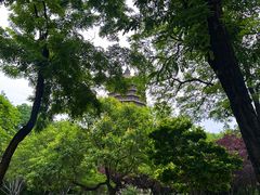 -玲珑塔公园
