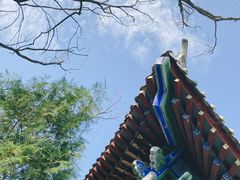 -禅宗少林·音乐大典