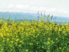 -新疆那拉提国家旅游度假区