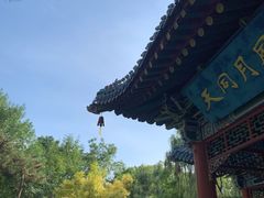-迎泽公园
