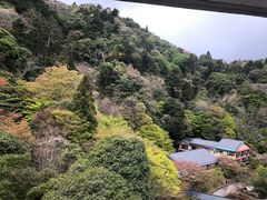 -月光园游月山庄