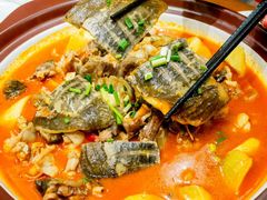 -火龙堂·风味民间菜(文一路店)