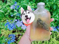 -艾薯夫妇Aysh(红山店)