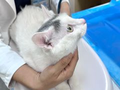 -美联众合爱康动物医院•复杂内科•肿瘤科•牙科•腔镜诊疗中心