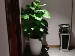 -圣和足道·瑶浴SPA·养生茶府(光华店)