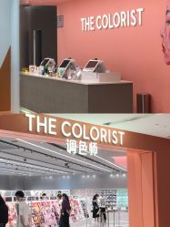 -THE COLORIST调色师
