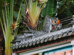 -深圳国际园林花卉博览园