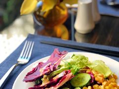 蔬菜沙拉-康莱德酒店·美庭自助餐厅