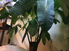 -宫七SPA·高端Massage(浦东大道店)