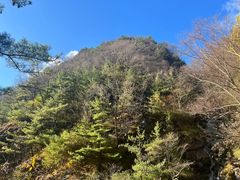 -朱雀国家森林公园