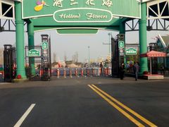 -荷兰花海