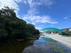 -朱家尖南沙景点