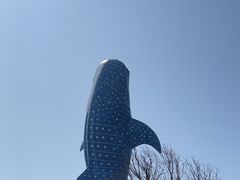 -珠海长隆海洋王国