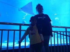 -烟台海昌鲸鲨海洋公园