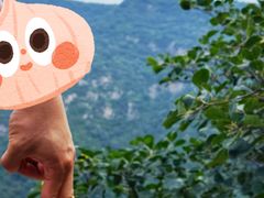 -周口店坡峰岭风景区