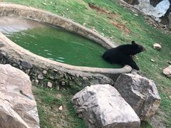 -无锡动物园·太湖欢乐园
