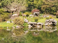 -杭州植物园