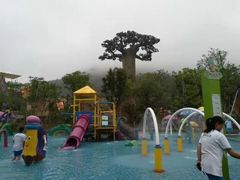 -苏州乐园森林水世界