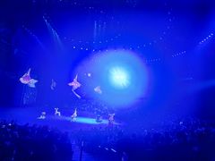 -珠海横琴长隆《卡卡虎奇遇记》