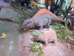 -湖南省地质博物馆