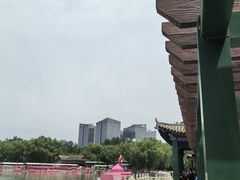 -莲花池公园