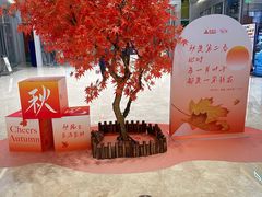 -吃饭皇帝大(解放西路店)