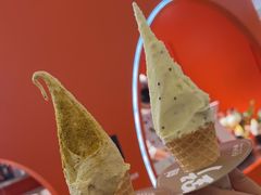 -野人先生现做冰淇淋(北京王府井东方新天地店)