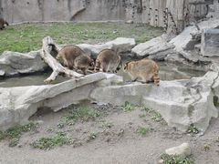 -上海野生动物园