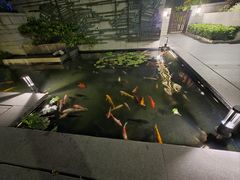 -广州白天鹅宾馆