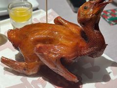 -大鸽饭(体育西路店)