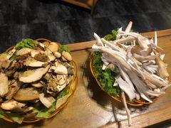 黄牛肝菌-易门野生菌府·菌海森林(月牙潭公园店)