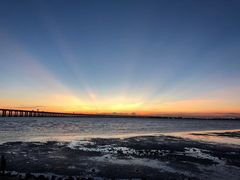 -宝安西湾红树林湿地公园