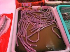 -海儀美食楼(湾仔海鲜街店)