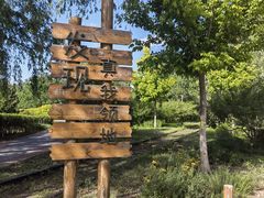 -永定河休闲森林公园