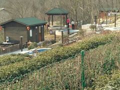 -汤山温泉房车营地 茶温泉