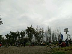 -白鹭湾湿地公园