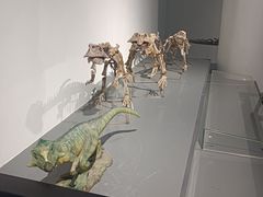 -大连自然博物馆