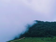 -白草畔自然风景区