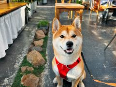 -北马山庄植趣咖啡