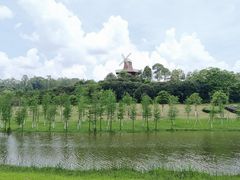 -东莞植物园