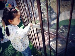 -萌宠亲子动物乐园(槐房万达店)