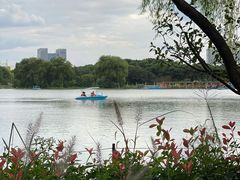 -昆山城市生态森林公园