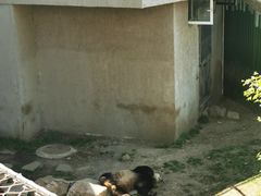 -沈阳森林动物园