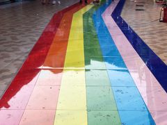 -猫咪博物馆(顶澳仔猫街店)